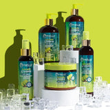 Mielle Organics Hair Care Mielle Organics: Avocado & Tamanu Anti-Frizz Shampoo 12oz