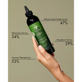 As I Am Shampoo 8oz As I Am: Rosemary Shampoo