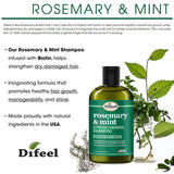 Difeel Hair Care Difeel: Rosemary and Mint Hair Strengthening Shampoo with Biotin 12oz