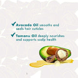 Mielle Organics Hair Care Mielle Organics: Avocado & Tamanu Anti-Frizz Treatment 6oz