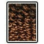 Zury Crochet Hair #SOM 27/30 Zury: V6 Nat 4A Multi Pack